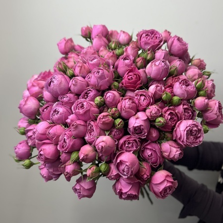 19 Пионовидных роз